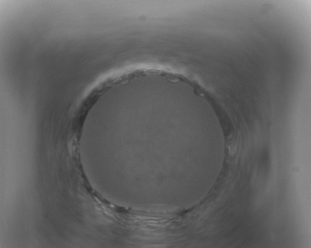 X0000082171495200701262346