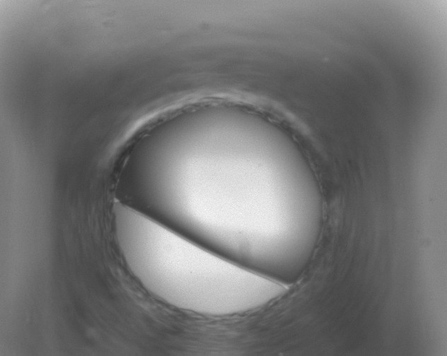 X0000082171496200701262346