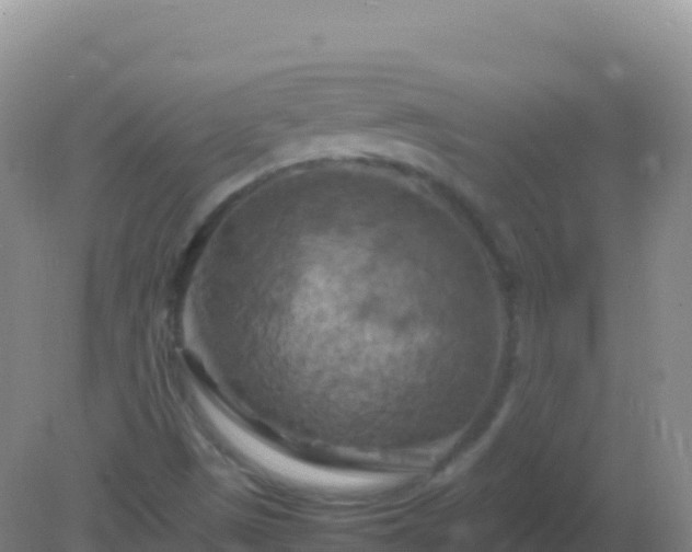 X0000082171497200701262346