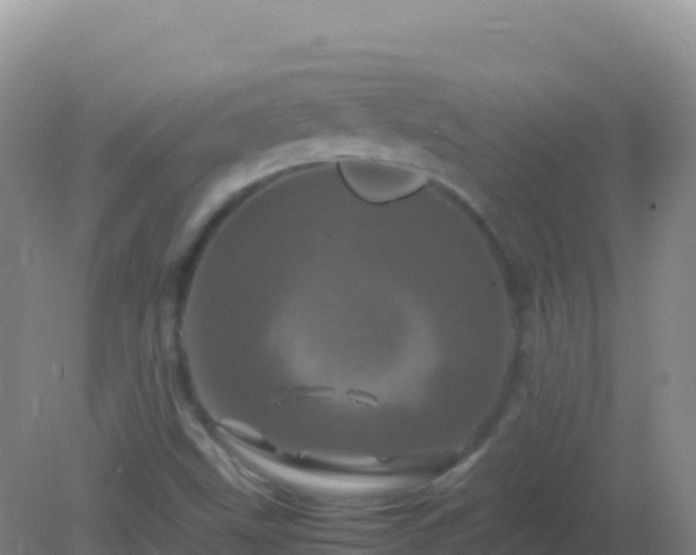 X0000082171499200701262346