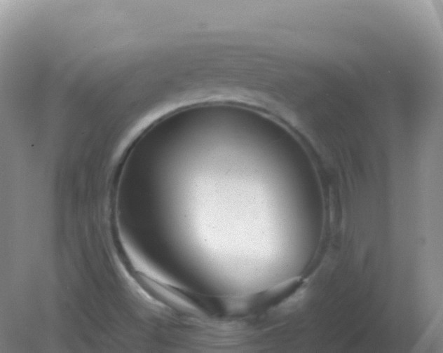 X0000082171500200701262346