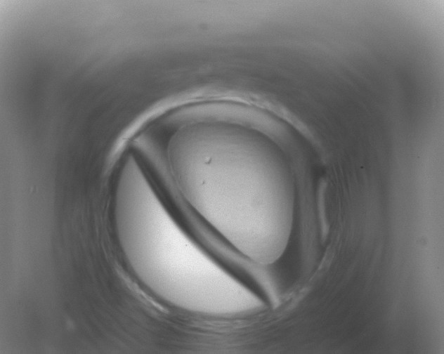 X0000082171502200701262346