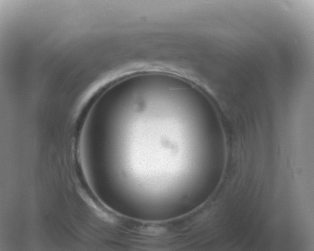 X0000082171503200701262346