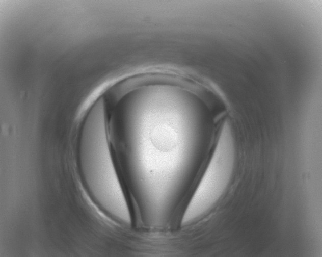 X0000082171504200701262346