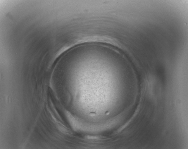 X0000082171505200701262346