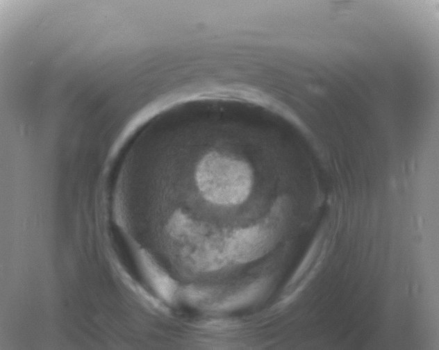 X0000082171506200701262346