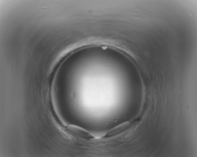 X0000082171507200701262346