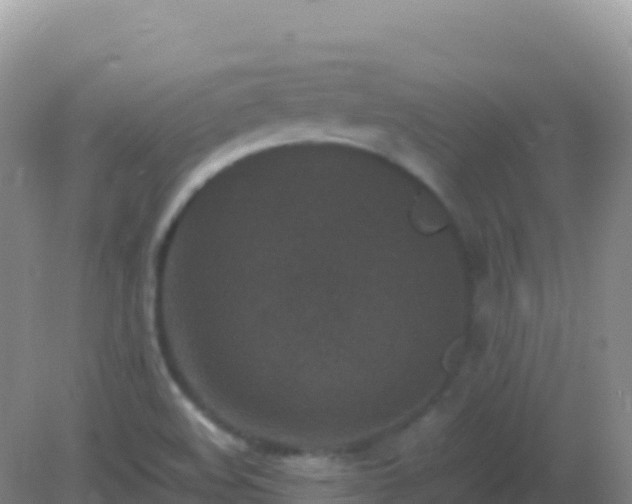 X0000082171508200701262346