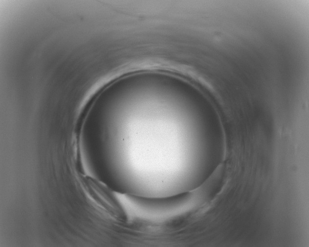 X0000082171509200701262346