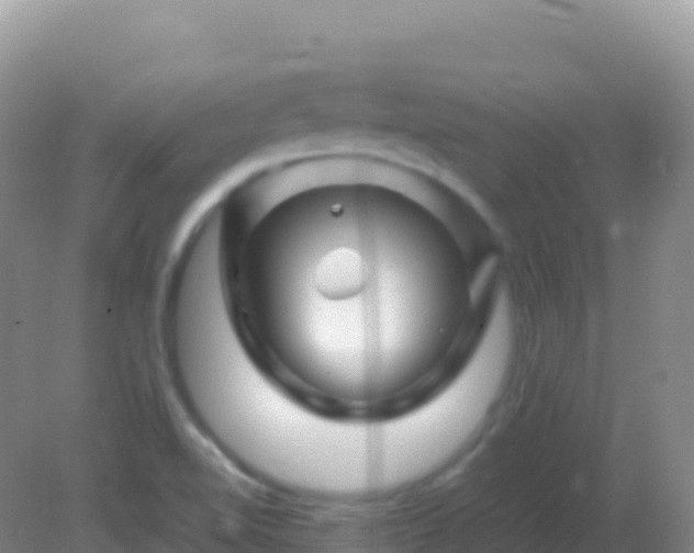 X0000082171510200701262346