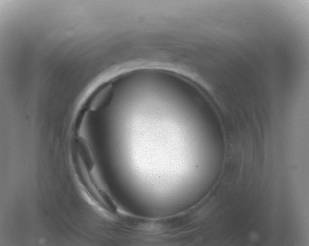 X0000082171511200701262346