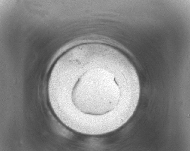 X0000082171514200701262347