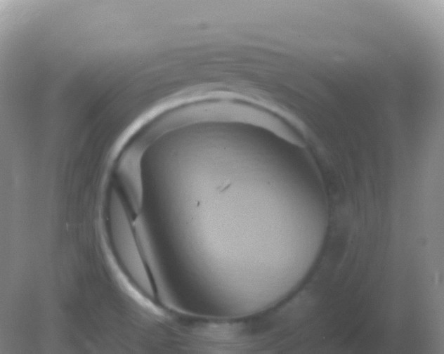 X0000082171518200701262347