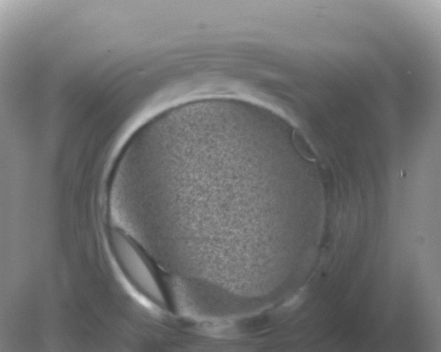 X0000082171519200701262347