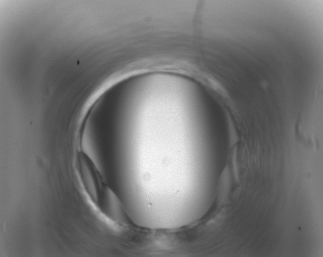 X0000082171520200701262347