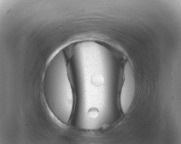 X0000082171524200701262347