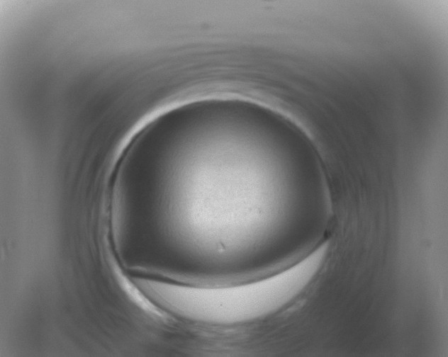 X0000082171526200701262347