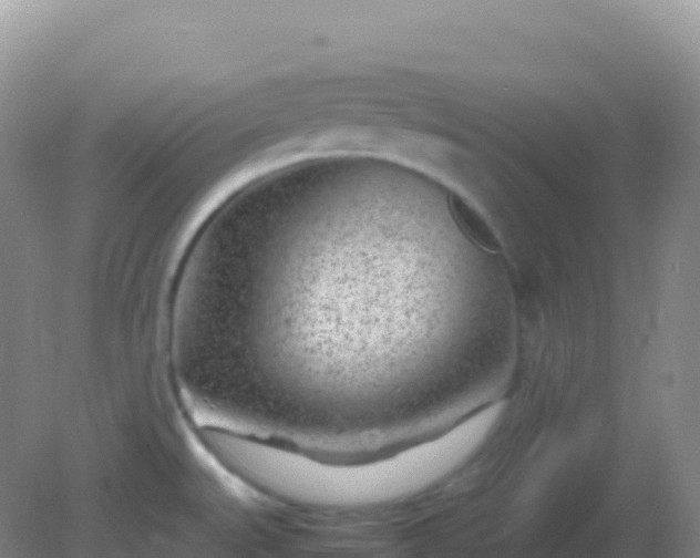 X0000082171527200701262347