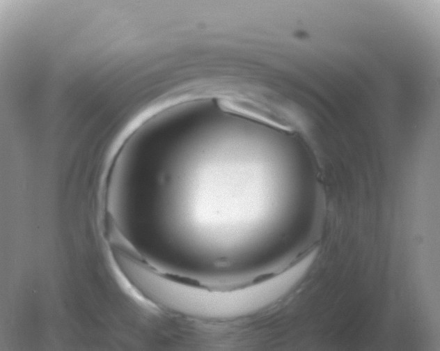 X0000082171528200701262347