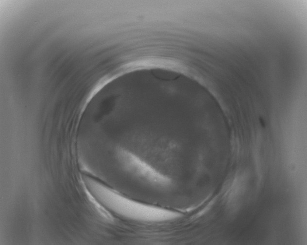 X0000082171529200701262347