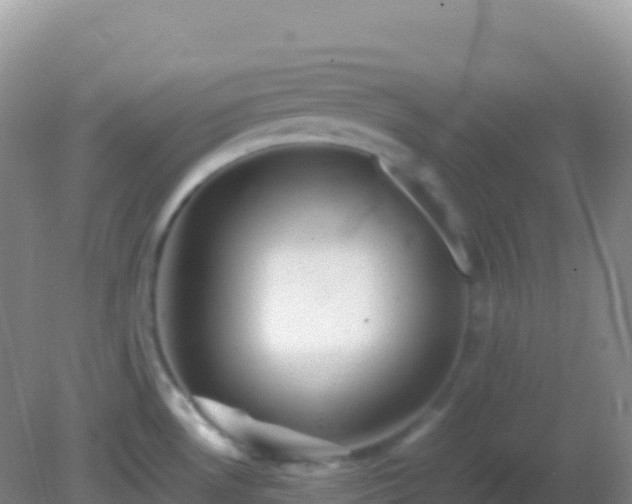 X0000082171530200701262347