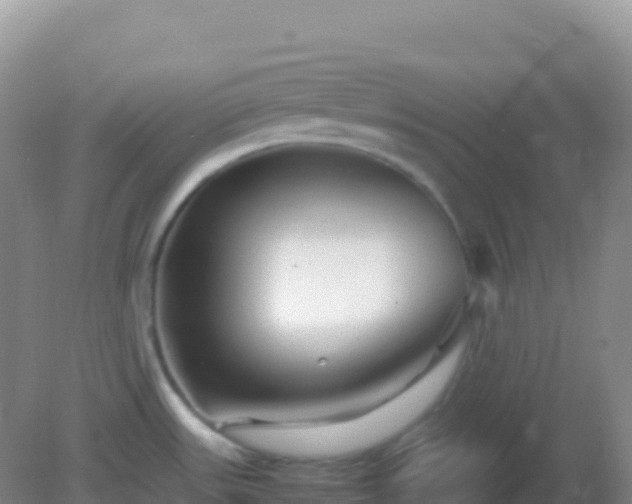 X0000082171531200701262347