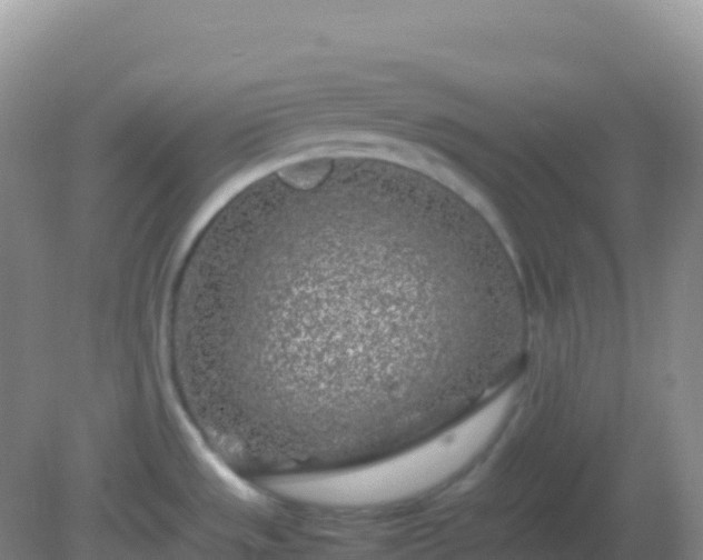 X0000082171533200701262347