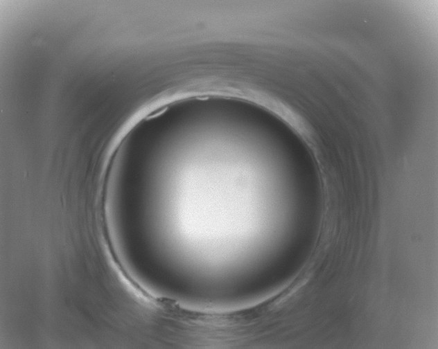 X0000082171536200701262347