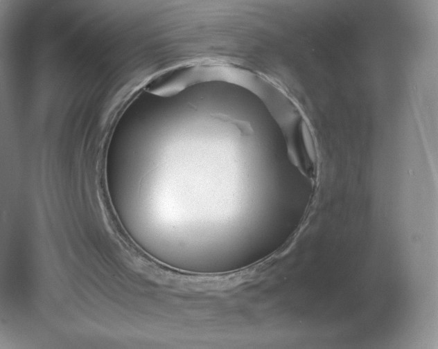 X0000082170001200702021738