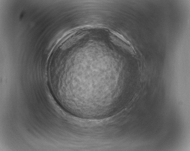 X0000082170002200702021738