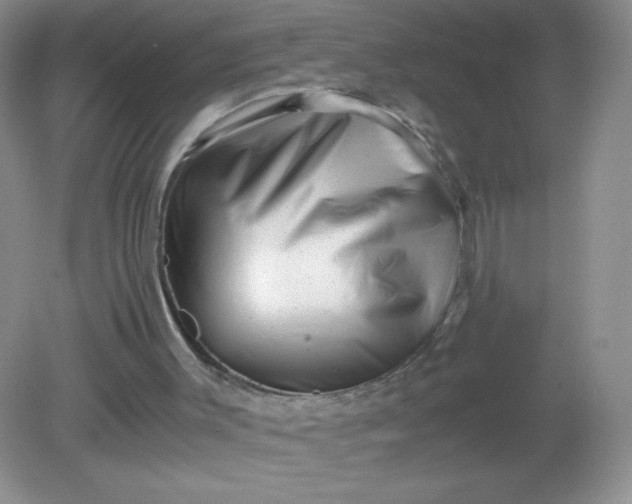 X0000082170003200702021738