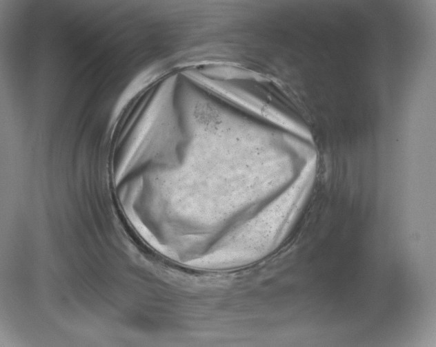 X0000082170004200702021738