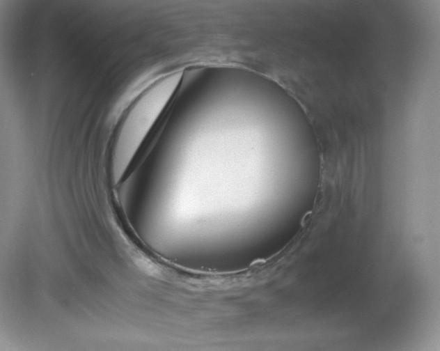 X0000082170005200702021738