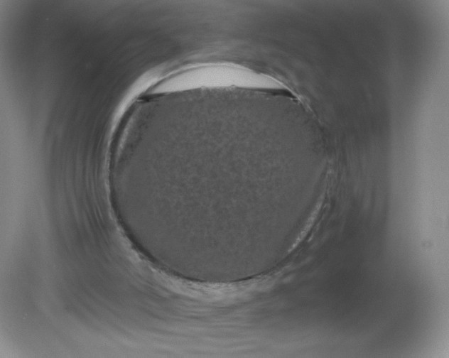 X0000082170006200702021738