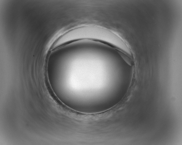 X0000082170007200702021738