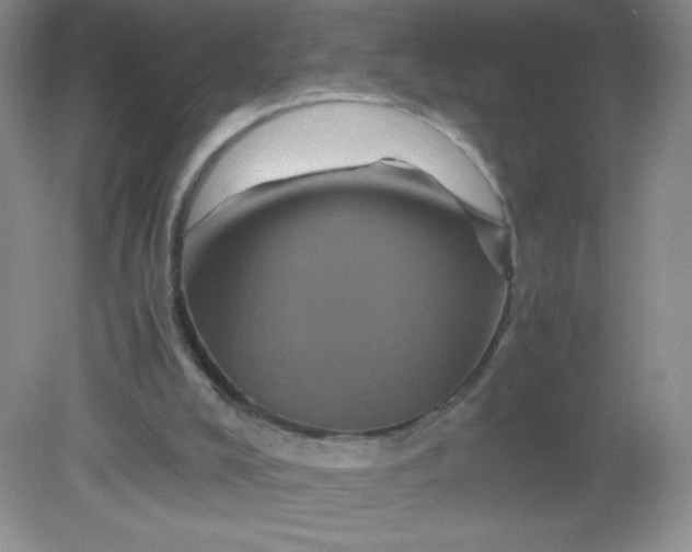 X0000082170008200702021738