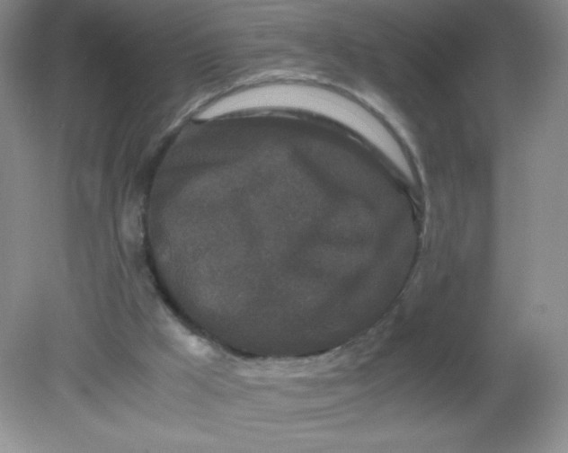 X0000082170009200702021738