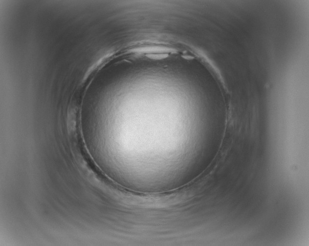 X0000082170010200702021738