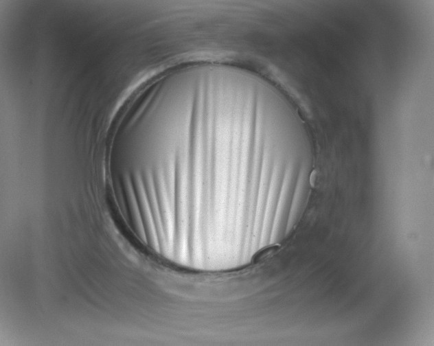 X0000082170011200702021738