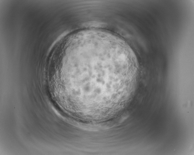 X0000082170012200702021738