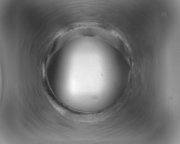 X0000082170013200702021738