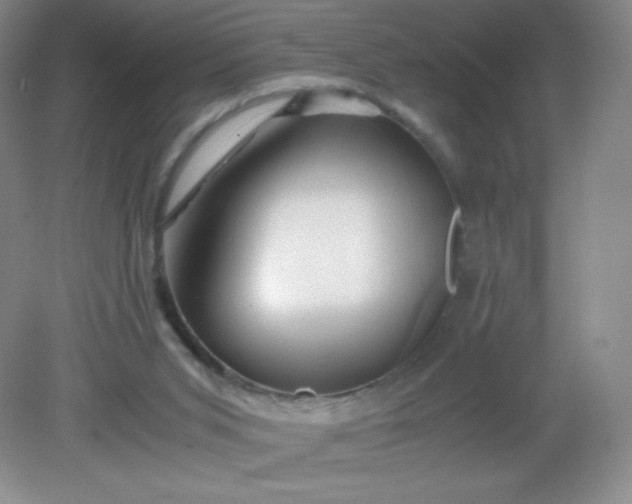 X0000082170015200702021738