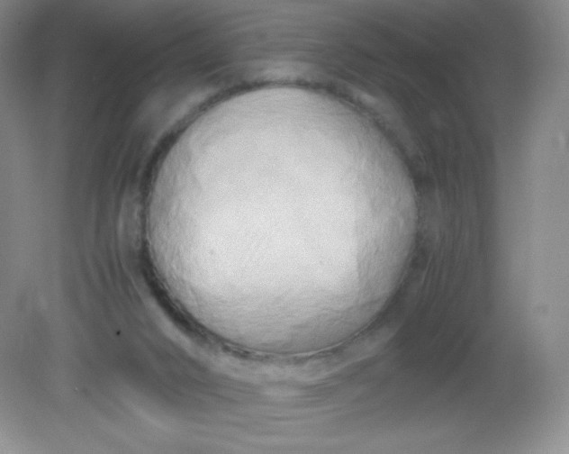 X0000082170016200702021738