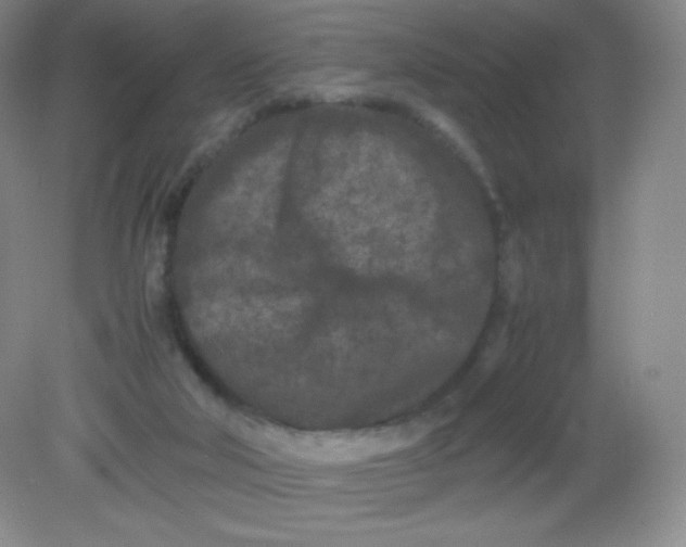 X0000082170018200702021738