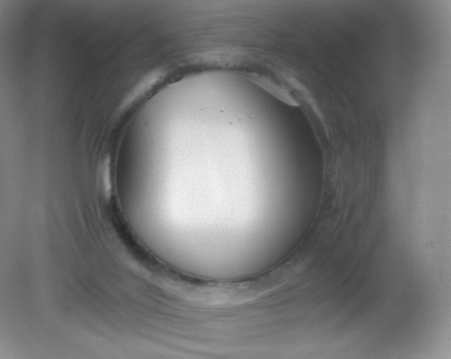 X0000082170020200702021738