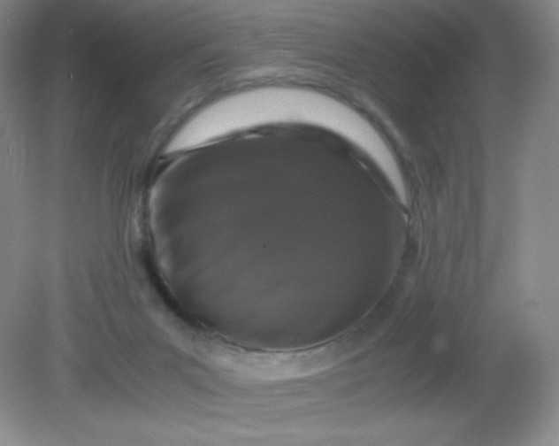 X0000082170023200702021738