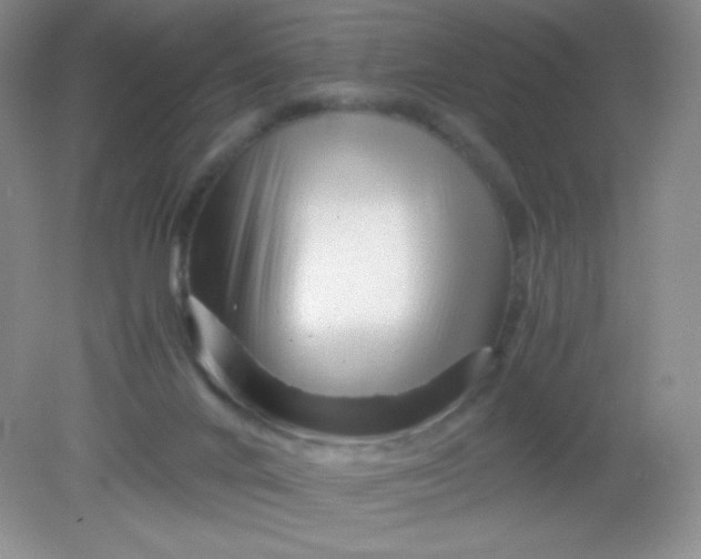 X0000082170024200702021738