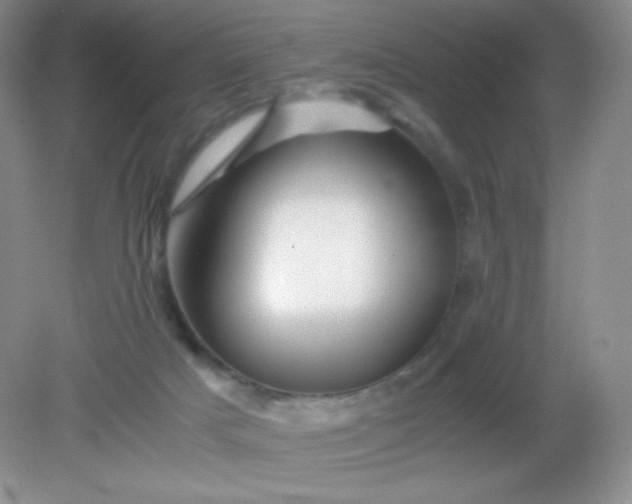 X0000082170025200702021738