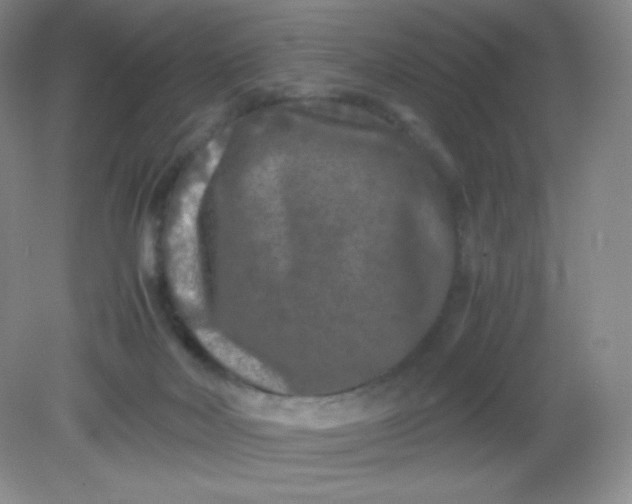 X0000082170026200702021738