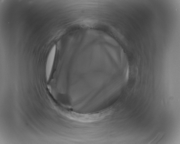 X0000082170027200702021738